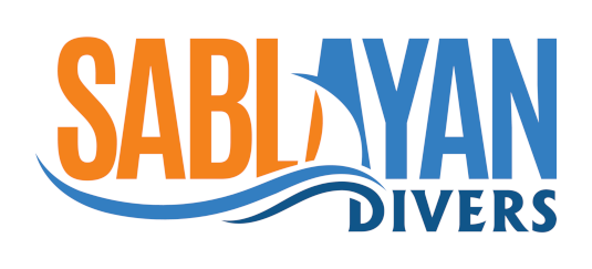 Sablayan Divers logo